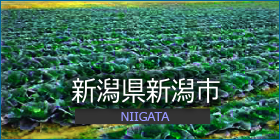 新潟県新潟市