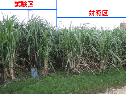 OPSIS「畑地用地下灌漑システム」